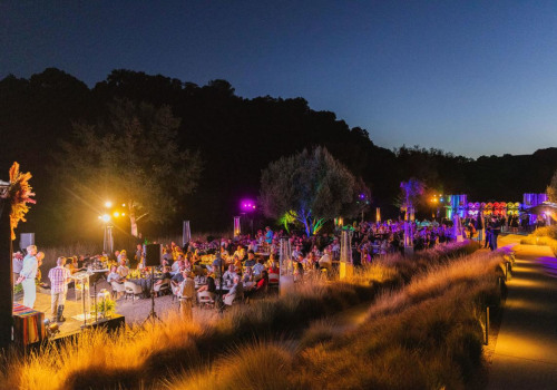 The Journey of Starting a Charitable Organization in Paso Robles, California